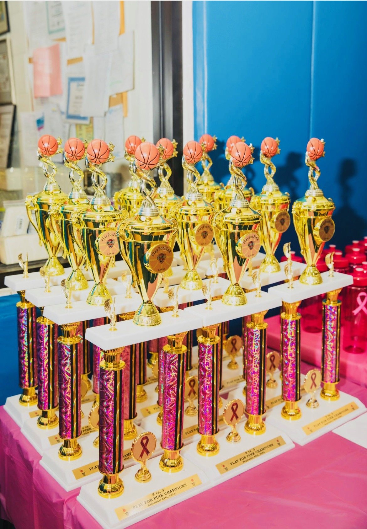 Play for Pink champion trophies